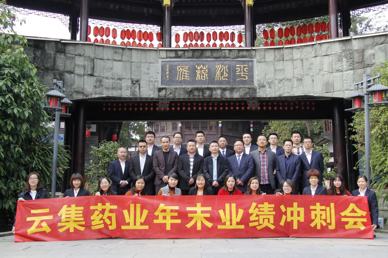 全力以赴冲刺年终，，，，，，77779193永利官网药业年末冲刺会圆满举行！